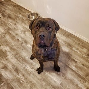 Meet your Posher, William